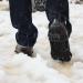 Snow Traction Cleats - Non-Slip Ice Cleats Crampon for Walking - Large Size with 24 Steel Spikes and Straps - Buy Online on GoSupps.com