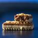 GRENADE PROTEIN OAT BAR Blueberry Muffin - Buy Online on GoSupps.com