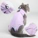 Easy Joy Recovery Suit for Cats - Postoperative Litter Clothing for Wounds & Skin Diseases | E-Collar Alternative - Soft Indoor Pet Outfit (L Purple) - Buy Online on GoSupps.com