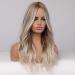 Emmor Gray Blonde Highlight Long Curly Synthetic Wig for Women | Heat Resistant Middle Part Wig - Buy Online on GoSupps.com
