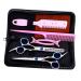 Beavorty set onion cutter fabric scissors hair scissors dental scissors main