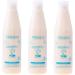 SALERM Salerm Cosmetics Salerm 21 Pack of 3 protein conditioners (250 ml) 750 ml