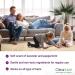 Prevention Parent: Effective Spray & Shampoo for Head Lice Prevention - Buy Online on GoSupps.com