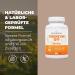 Buy Bandini Coenzyme Q10 - 200mg High-Dose Capsules | 120 Count | Pure Fermented Corn GVO-Free Additive-Free | 4 Month Supply - Buy Online on GoSupps.com