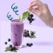 Vegan Pea Protein Isolate Powder - 15g Protein No Added Sugar Allergen Free Black Currant Flavor - Pack of 12 - Buy Online on GoSupps.com