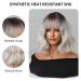 Testar Short Bob Wig with Air Bangs - Gray Synthetic Cosplay Wig for Women | Daily Wear Colorful Styles - Buy Online on GoSupps.com