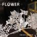 Foyte Butterfly Crown: Baroque Queen Tiara for Women & Girls - Rhinestone Bride Headpiece - Buy Online on GoSupps.com