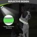 Joytale Neoprene Dog Collar for Medium Dogs - Softly Padded Reflective Green - Durable Nylon Ideal for Safe Walks (1 Pack) - Buy Online on GoSupps.com