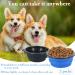Vivifying 1000ml Foldable Dog Bowl - 2PCS Silicone Large Dog & Cat Feeding Bowls for Travel (Black & Blue) - Buy Online on GoSupps.com