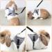 Rabbit Harness Leash Cute Bunny Vest Harness and Leash Set With Button Decor Pets Adjustable Formal Suit Style Plaid Stripe Harness Grey(S) - Buy Online on GoSupps.com