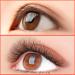 Premade 3D Eyelash Extensions - Handmade Russian Volume Fans | Soft Mink Individual Eyelashes 8-14mm - International Supplier - Buy Online on GoSupps.com