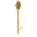 Wholesome Beauty Dry Skin Body Brush with Removable 11-Inch Wood Handle