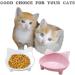 Lorde Shallow Cat Food Bowls Set of 2 - Non-Slip Wide Cat Dish for Whisker Fatigue Relief - White/Pink - Buy Online on GoSupps.com