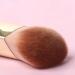 SHANPIN Concealer Brush - Precision Eye & Face Blending Tool for Dark Circles | Best Liquid Cream Foundation Makeup Brush - Buy Online on GoSupps.com