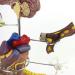 Uigjiog Human Diabetes & Cardiac Model - Coronary Thrombosis & Arterial Education Tool for Blood Vessels Brain Heart Pancreas and Foot Surgery - Buy Online on GoSupps.com