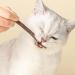 Hiqe-fl Cat Toy Set - 6pcs Catnip Sticks & 15pcs Dental Toys for Cats - Matatabi Chewing Wood - Safe & Natural Chewing Toy - Buy Online on GoSupps.com