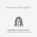 Maximal Moisture Cream - 100hr Hydrating Face Moisturizer for Dry Sensitive Skin | Ceramide Repair | Korean Skincare - Buy Online on GoSupps.com