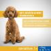 Sensitive Adult 1+ Dry Dog Food for Extra Small and Small Dogs (XS/S) with Turkey 1.4 kg (Pack of 5) - Buy Online on GoSupps.com