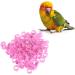 Yanhonin 100pcs 10mm Pigeon Identification Rings | Bird Training Leg Bands - International Shipping Available - Buy Online on GoSupps.com