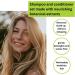 Pure Mint Shampoo and Conditioner Set - For Oily Hair - Clarifying Shampoo For BuildUp - Made In Canada - Featuring Peppermint and Rosemary Oil Aloe Leaf Juice and Pea Peptide - Free From Paraben Sulfate Dyes Wax Artificial Fragrance 100% Vegan and Cruelt - Buy Online on GoSupps.com