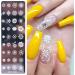 6-Piece Nail Art Stamping Plate Set | DIY Decoration Tools for Flowers Snowflakes Butterflies & Dandelions | Perfect for Manicure Designs - Buy Online on GoSupps.com