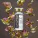 Zena Serum - Low Hyaluronic Acid for Daily Hydration | Best International Shipping - Buy Online on GoSupps.com