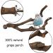 Kathson Natural Parrot Perch Stand Wild Grape Stick Toy for Small Birds - 3PCS - Buy Online on GoSupps.com