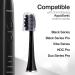 2-Pack AquaSonic Activated Charcoal Brush Heads - Ultra Whitening & Stain Remover - Compatible with Black Series Pro Vibe & Duo Pro Series (Black) - Buy Online on GoSupps.com