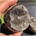 CIMWJOPS Natural Crystal Rough Natural s and Minerals Large Beautiful Dragon septarian geode Egg Around 200-1000g Home Decoration Very Lucky - Buy Online on GoSupps.com