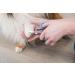 TRIXIE Pet Grooming Scissors for Dogs and Cats - Round Tip, 3 (8cm) - Trim Face, Nose, Ears, and Paw Hair - Buy Online on GoSupps.com