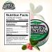 Nicotine-Free Smokey Mountain Pouches - Wintergreen Flavor - 10 Cans, 15 Energy Pouches Per Can - Buy Online on GoSupps.com