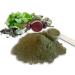 Organic Gluten Free Greens - Whole Food Nutrition for Optimal Health & Vitality! 11.5oz - 30 Servings - Buy Online on GoSupps.com