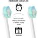 Yanban 4-Pack Replacement Toothbrush Heads for Philips Electric Toothbrush Compatible with Essence Elite Xtreme Advanced & Cleancare - Buy Online on GoSupps.com