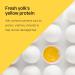 Valmona Egg Deep Nutrition Conditioner 16.23 Fl oz - Moisturizing Honey & Olive Oil Formula for Dry Damaged Hair - Buy Online on GoSupps.com