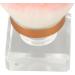Black Capsule Cosmetic Brush Kit Synthetic Fibre Pink Blue White Round Base Shape Makeup Brush - Buy Online on GoSupps.com