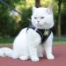Femax Dog Harness with Leash for Small & Medium Dogs | Soft Mesh No Pull Reflective Adjustable Vest for Chihuahua & Cats - Size M (Breast 35-40cm) - Black - Buy Online on GoSupps.com