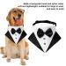 Fezf Formal Dog Smoking Bandana - Stylish Cotton Collar for Dogs & Cats | Wedding Accessory - Buy Online on GoSupps.com