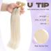 Blonde U Tip Hair Extensions Real Human Hair 50 Strands 40g Pre Bonded Hair Extensions Platinum Blonde Keratin Hair Extensions #60 14inch 14Inch #60 Platinum Blonde - Buy Online on GoSupps.com