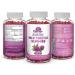 Organic Milk Thistle Gummies 1000mg Extract - Liver Detox Support & Cleanse - Sugar-Free & Delicious - 90 Count - Buy Online on GoSupps.com