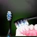 Zumaha Medium-Proof Toothbrush - Pack of 6 for Deep Cleaning & Stain Removal | Unisex Design for Men & Women - Buy Online on GoSupps.com