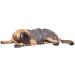 Lills Dog Bathrobe - 100% Organic Cotton Stone Grey (XL: 65 cm) | Eco-Friendly Dog Apparel - Buy Online on GoSupps.com