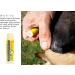 InstaCure Original Nose Balm with Manuka Honey, Coconut Oil & Shea Butter - Fast Relief for Cracked & Dry Noses - Ideal for Dogs - 1 Pack - Buy Online on GoSupps.com
