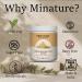 minature Indian Healing Clay Powder| Fuller' Earth Clay Mask| Bentonite Clay Multani Mitti |Pure & Natural Preservative Free | Cruelty Free | Made in India | 150gram(5.29 Oz) | - Buy Online on GoSupps.com