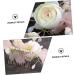 Angoily Bridal Hair Comb Crystal Hair Comb Flower Hair Comb Rhinestone Hair Barrette Hanfu Headwear Tiara Flower Hair Insert Comb Pink Zircon The Flowers Bride Spun Yarn - Buy Online on GoSupps.com