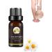 Chamomile Oil Varicose Veins Chamomile Essential Oil for Varicose Veins Varicose Vein Treatment Oil Impove Blood Circulation 10ml.(1pcs)