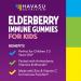 Elderberry Gummies for Kids with Zinc & Vitamin C | Immune Defense Support | Vegan Gummies 60 Count - Buy Online on GoSupps.com
