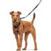 HUNTER Training & Education Harness - Side by Side - Black (39-51 cm) | International Shipping Available - Buy Online on GoSupps.com