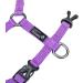 Adjustable Cat Harness for Small, Medium, Large Kittens - Purple - No Pull Pet Harness - Buy Online on GoSupps.com