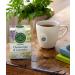 Traditional Medicinals Peppermint 16 Tea Bags (Pack Of 6) 384 gram Tea Peppermint 16 Count (Pack of 6) - Buy Online on GoSupps.com