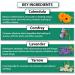 Organic Calendula Ointment for Chafing, Dry Skin, Eczema, Diaper Rash, Sunburn (4 oz, 2-Pack) - Buy Online on GoSupps.com